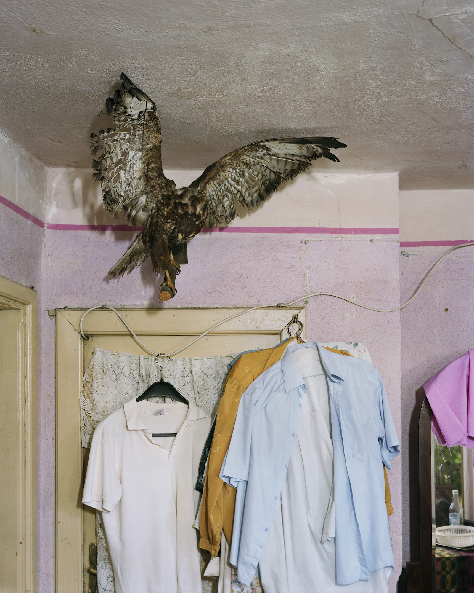 アート・デザイン・音楽 Alec Soth I Know How Furiously Alec Soth – I Know How Furiously Your Heart Is Beating / 60,00 €